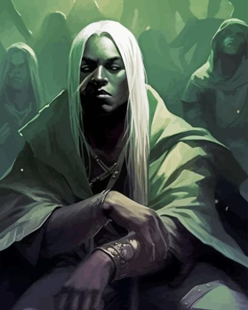 Mad Drizzt Paint By Numbers