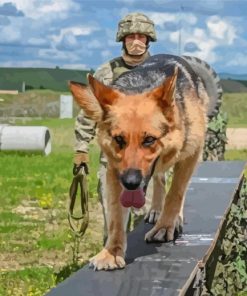 Military Dog Paint By Numbers