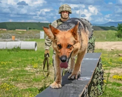 Military Dog Paint By Numbers