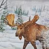 Moose In Winter Paint By Numbers