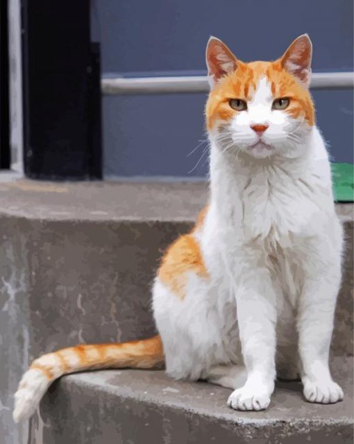 Orange And White Cat Paint By Numbers