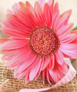 Pink Sunflower Paint By Numbers