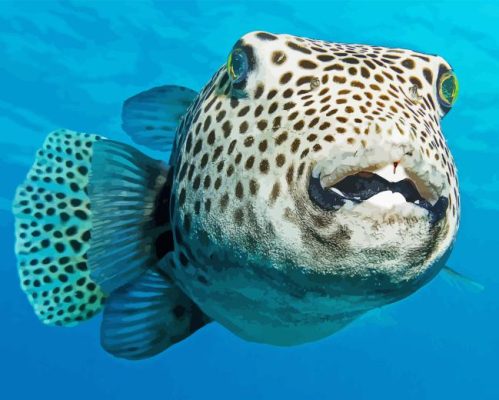 Puffer Fish Paint By Numbers