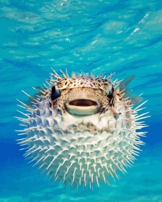 Pufferfish Art Paint By Numbers