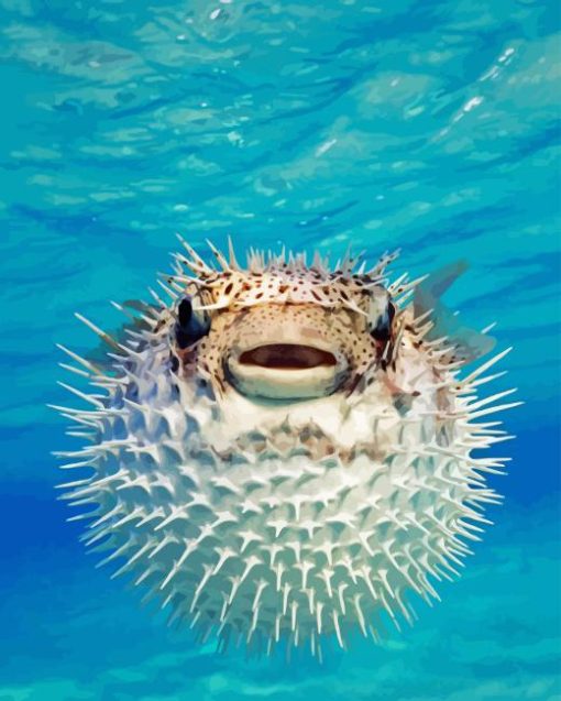 Pufferfish Art Paint By Numbers