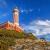 Punta Carena Lighthouse Paint By Numbers