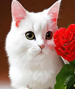 Red Rose And Cat Paint By Numbers