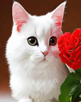 Red Rose And Cat Paint By Numbers