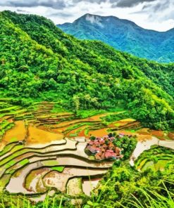 Rice Terraces Paint By Numbers