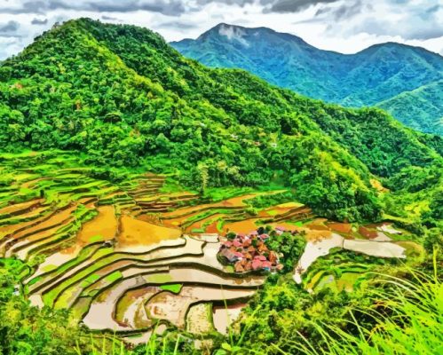 Rice Terraces Paint By Numbers