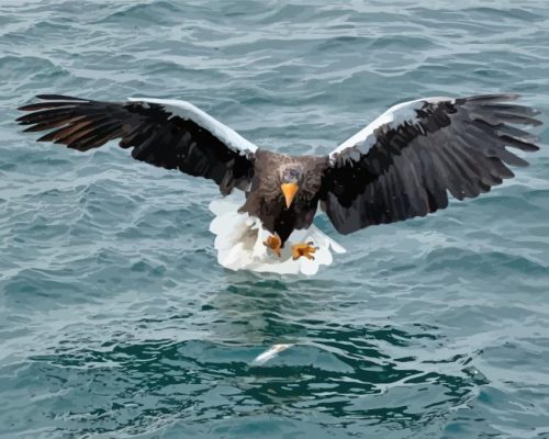 Sea Eagle Catching Fish Paint By Numbers