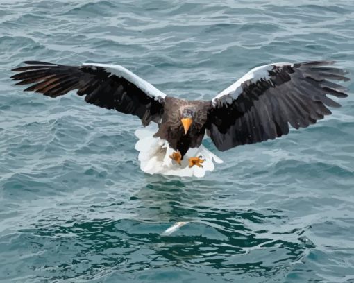 Sea Eagle Catching Fish Paint By Numbers