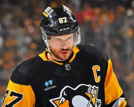 Sidney Crosby Paint By Numbers
