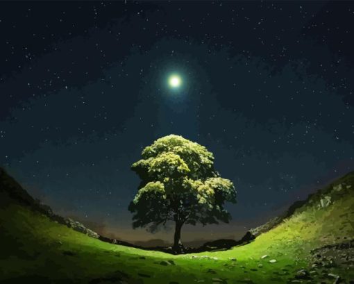 Sycamore Gap At Night Paint By Numbers