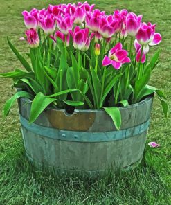 Tulips In Barrel Paint By Numbers