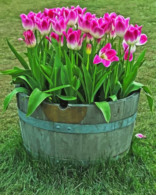 Tulips In Barrel Paint By Numbers