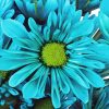 Turquoise Flower Paint By Numbers