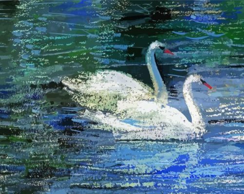 Abstract Swan Couple Paint By Numbers