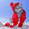 Adorable Winter Cat Paint By Numbers