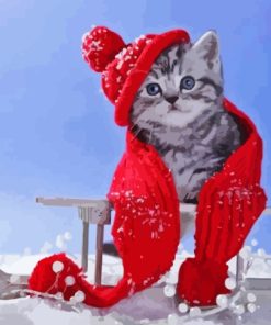 Adorable Winter Cat Paint By Numbers