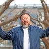 Ai Weiwei Artist Paint By Numbers