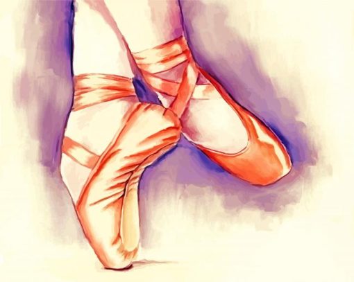 Ballerina Shoe Art Paint By Numbers