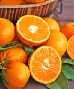 Citrus Orange Paint By Numbers
