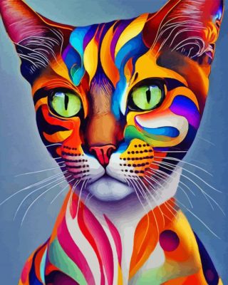 Colorful Cat Paint By Numbers