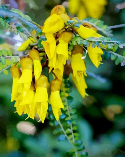 Kowhai Paint By Numbers