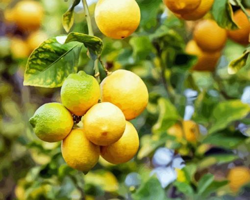 Lemon Plants Paint By Numbers