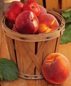 Nectarines Paint By Numbers