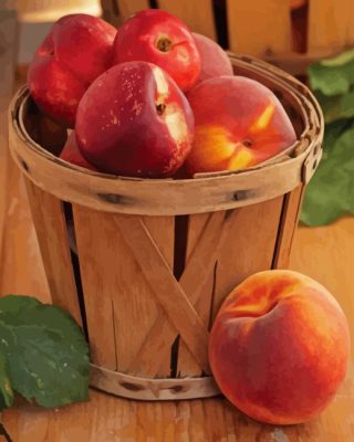 Nectarines Paint By Numbers