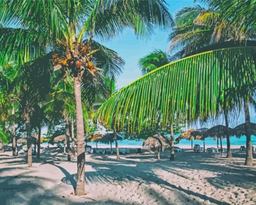 Palm Trees In Varadero Paint By Numbers