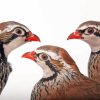 Partridge Birds Paint By Numbers