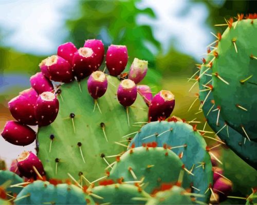 Prickly Pear Paint By Numbers