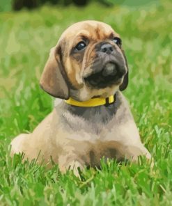 Puggle Paint By Numbers