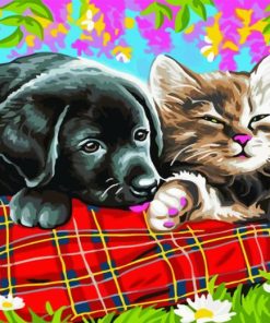 Puppy Kitten Sleep Paint By Numbers