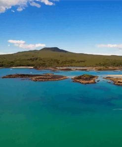 Rangitoto Island Paint By Numbers