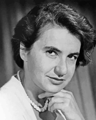 Rosalind Franklin Paint By Numbers