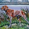 Short Haired Pointer Paint By Numbers