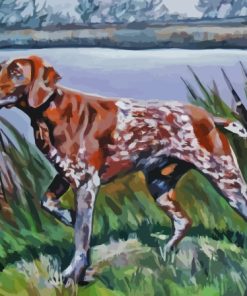 Short Haired Pointer Paint By Numbers