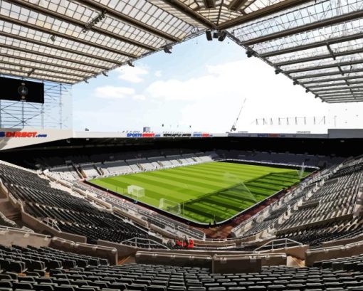 St James Park Paint By Numbers