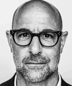 Stanley Tucci Paint By Numbers