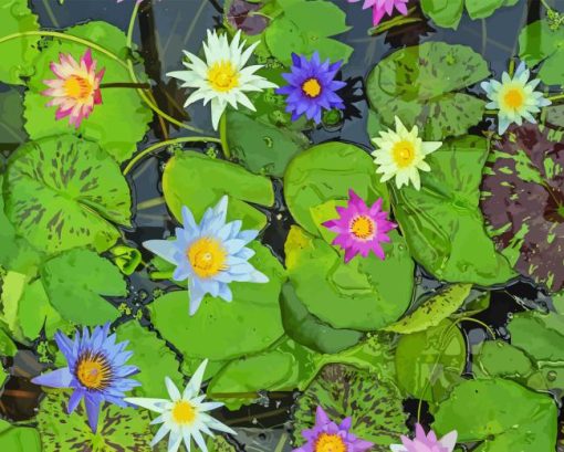 Water Lilies In Pond Paint By Numbers
