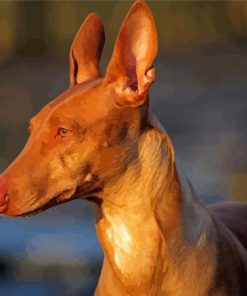 Beige Pharaoh Hound Paint By Numbers