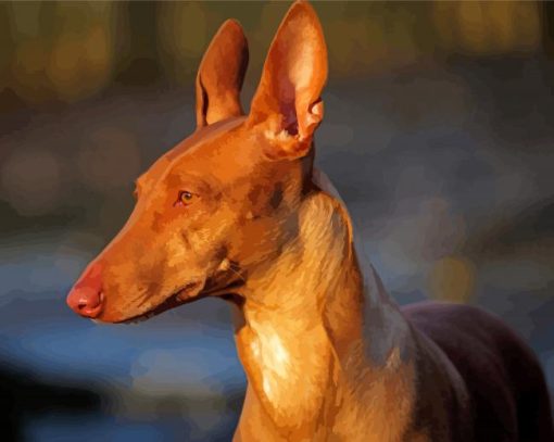 Beige Pharaoh Hound Paint By Numbers