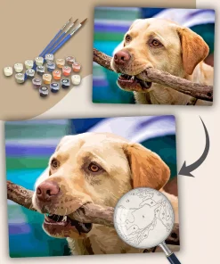 Paint By Numbers Custom​ Pets