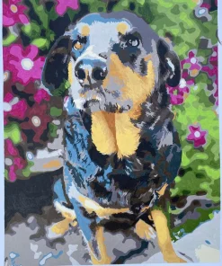 Paint By Numbers Custom​ Pets gall 1