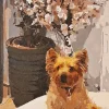 Paint By Numbers Custom​ Pets gall 3