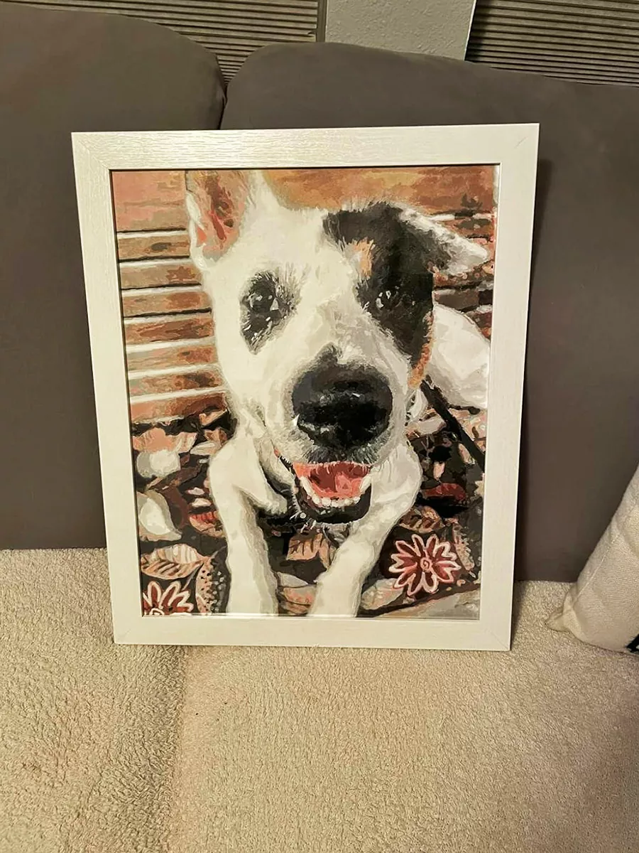 Paint By Numbers Custom​ Pets rev 2